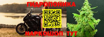Альфа ПВП Азнакаево