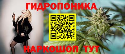 Альфа ПВП Азнакаево